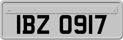 IBZ0917