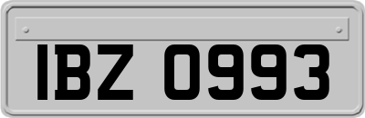 IBZ0993
