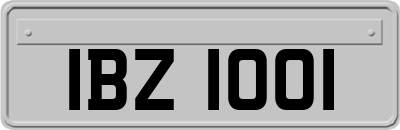 IBZ1001