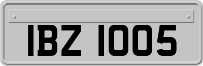 IBZ1005