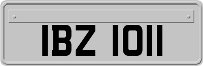 IBZ1011