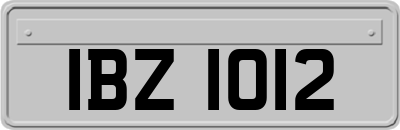 IBZ1012