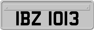 IBZ1013
