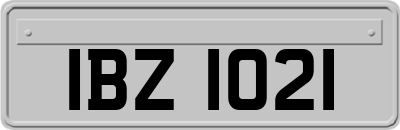IBZ1021