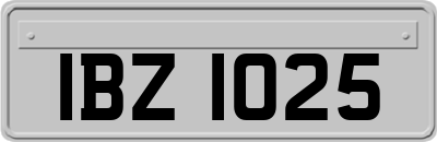 IBZ1025