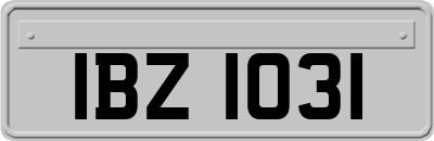 IBZ1031