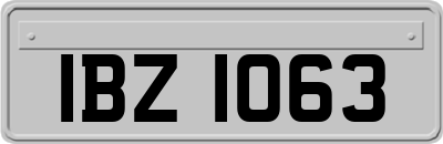 IBZ1063