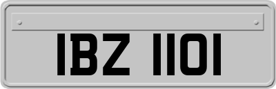 IBZ1101