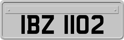 IBZ1102