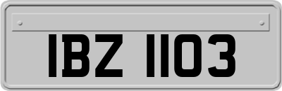 IBZ1103