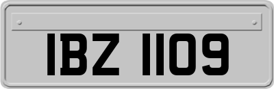 IBZ1109