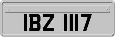 IBZ1117