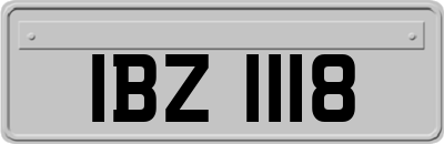 IBZ1118