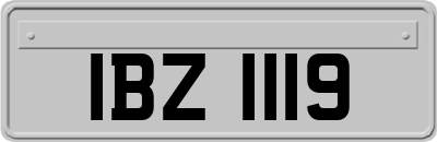 IBZ1119