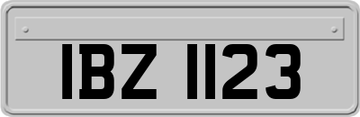 IBZ1123
