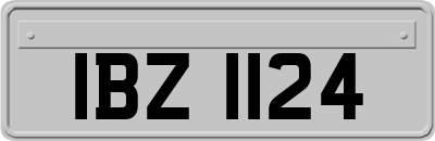 IBZ1124