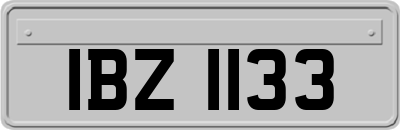 IBZ1133