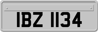 IBZ1134