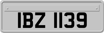 IBZ1139