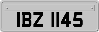 IBZ1145