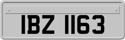 IBZ1163