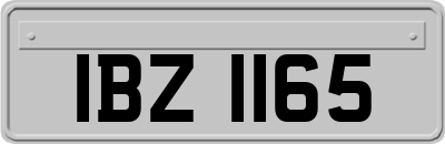 IBZ1165