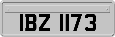 IBZ1173
