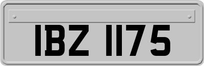 IBZ1175