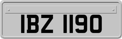 IBZ1190