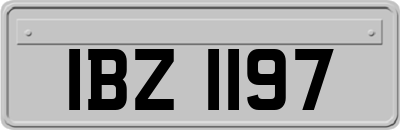 IBZ1197