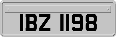 IBZ1198