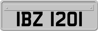 IBZ1201