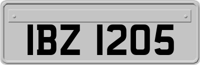 IBZ1205