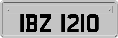 IBZ1210