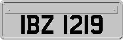IBZ1219