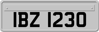 IBZ1230