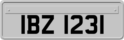 IBZ1231