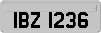 IBZ1236