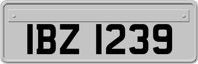 IBZ1239