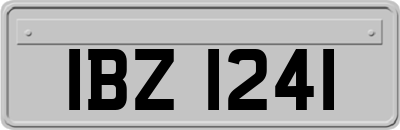IBZ1241