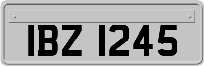 IBZ1245