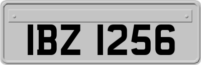 IBZ1256