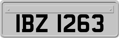 IBZ1263