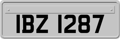 IBZ1287