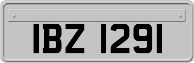 IBZ1291