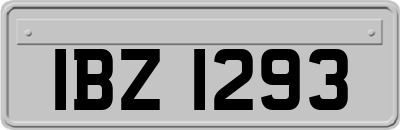 IBZ1293