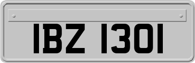 IBZ1301