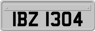 IBZ1304