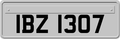 IBZ1307