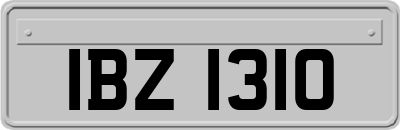 IBZ1310